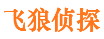 桂东侦探公司